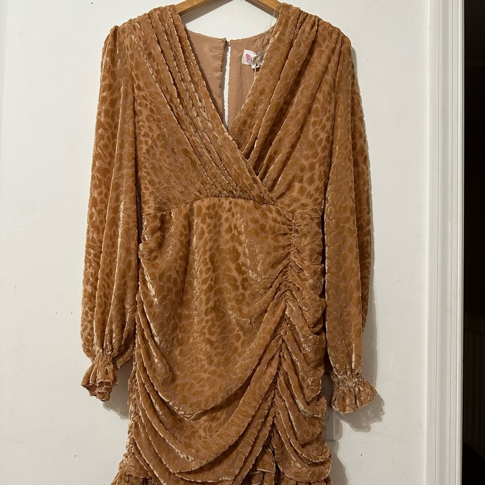 Velvet Leopard Print Dress